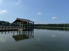 -溱湖国家湿地公园