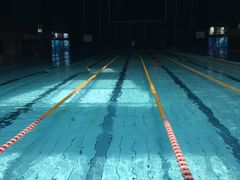 -重庆市奥林匹克体育中心-游泳跳水馆