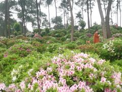 -南山植物园