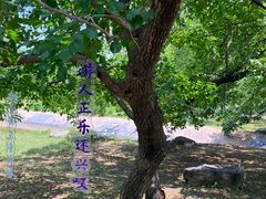 -御林古桑园