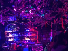 -周庄红庭演艺酒吧