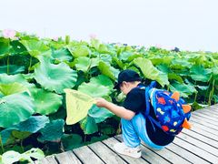 -梁鸿国家湿地公园