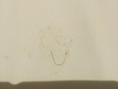 -城市便捷酒店(北海老街海景店)