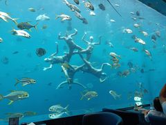 -瑞德姆美人鱼海底演艺主题餐厅(亚龙湾店)