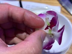 -山河屯铁锅炖·非遗铁锅炖(华强北店)