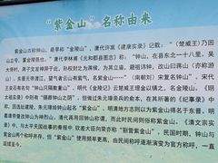 -紫金山山顶公园