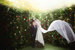 点击看大图 -韩国艺匠ARTIZ STUDIO(博览中心店)