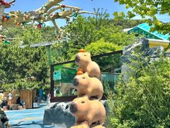 -大连森林动物园