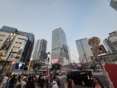 -涩谷全向十字路口