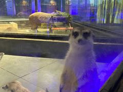 -荆州中山公园动物园