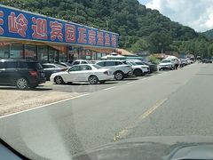 -庆岭迎宾园正宗活鱼馆