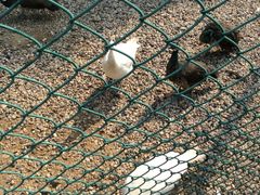 -南京金牛湖风景区