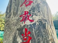 -大望京公园