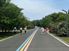 -同里国家湿地公园