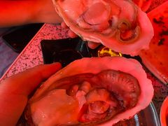 法国生蚝-嘉升大排档(番禺总店)