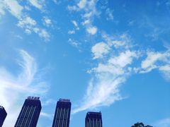 -合肥滨湖国家森林公园