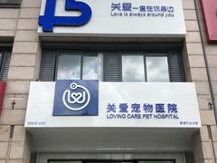 -关爱宠物医院·猫科中心·消化科(滨湖万达分院)
