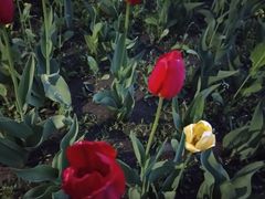 -长春公园(普阳街道)