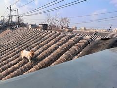 -前叁門