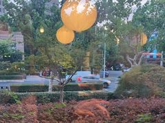 -荷风细雨·中国茶宴(碧云店)