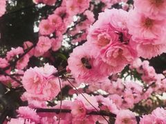 -少华山国家森林公园