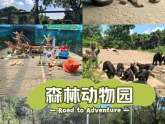 -沈阳森林动物园