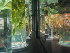 -广东中医药博物馆
