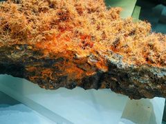 -湖南省地质博物馆