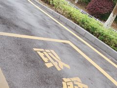-麦当劳(科教城店)