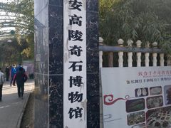 -老磨油饼(高陵店)