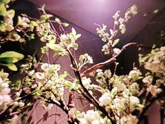 -仟汇足道·SPA(秀洲总店)