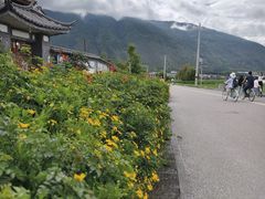 -大理洱海