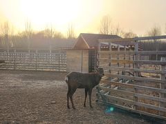 -安德鲁户外烧烤帐篷营地(马泉营店)