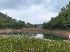 -大雁山风景区