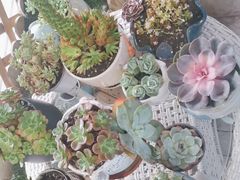 -永信齿科·永典口腔门诊部(浦东店)