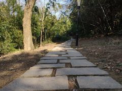 -宝界山林公园