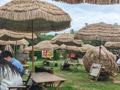 -桃源山庄·水蜜桃采摘·柴火鸡·烧烤团建(龙泉山店)