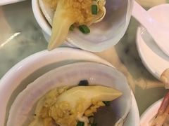 -欢乐海岸美食联盟