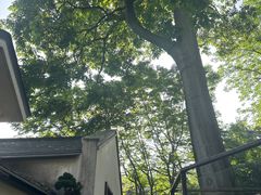 -青竺·青竹茶舍(断桥店)