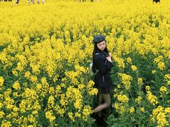 -三圣花乡旅游区