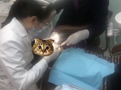 -固瑞齿科(国贸门诊店)