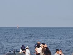 -潍坊欢乐海沙滩景区