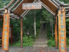 -汤旺河林海奇石景区