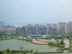 -飞凤山奥体公园