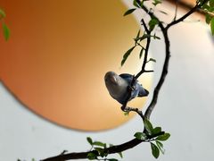 -点绛唇(鼓楼店)