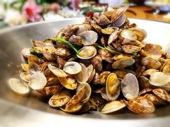 辣炒红岛花蛤-新海渔港·胶东海鲜家常菜·家宴(奥体中心店)