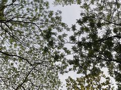 -杭州植物园