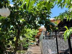 -桃源山庄·水蜜桃采摘·柴火鸡·烧烤团建(龙泉山店)