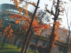 -三岔湖环球融创天堂洲际酒店水乐园