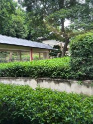 -爱帝宫月子中心(罗湖别墅院)